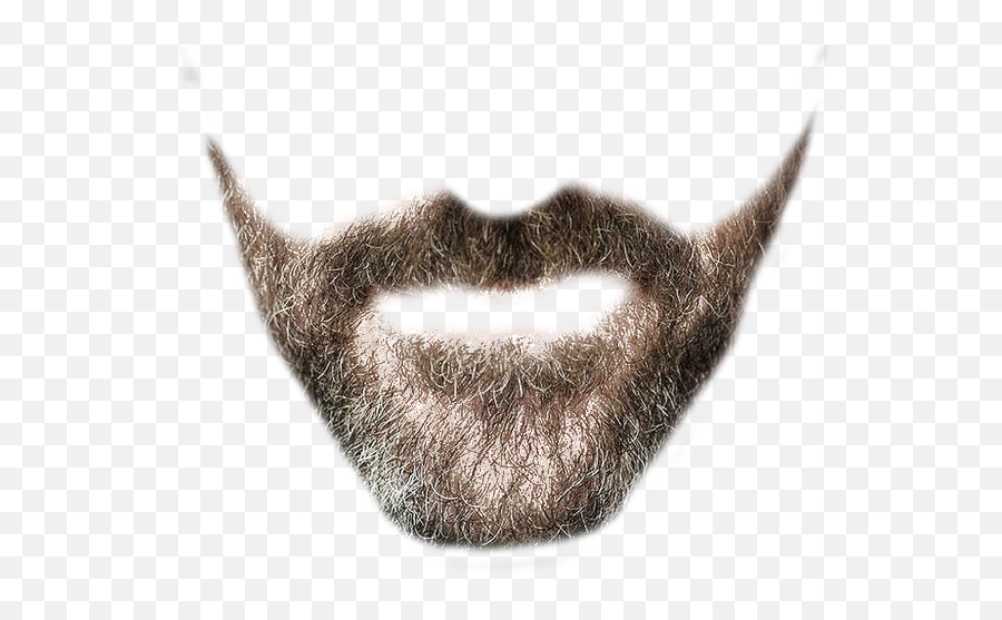 Free Bearded Face Png No Background - Short Beard Transparent Emoji,Slitherio Emojis