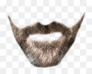 Free Bearded Face Png No Background - Short Beard Transparent Emoji,Slitherio Emojis