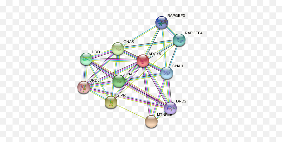 Adcy5 Protein Human - String Interaction Network Dot Emoji,Text Insertions To Show Emotion