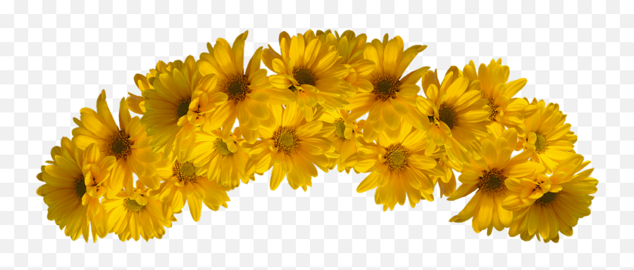 Crown Emoji Background - Yellow Flower Crown Png,Emoji Crown Overlay