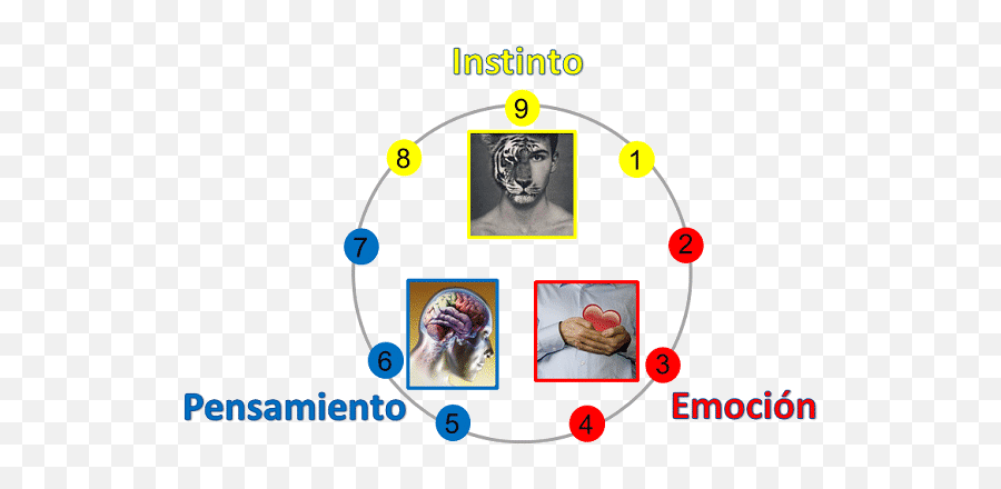 Test Explicación Utilidad - Eneagrama Triadas Emoji,Emojis Sobre La Personalidad De Los Cuatro Temperamentos