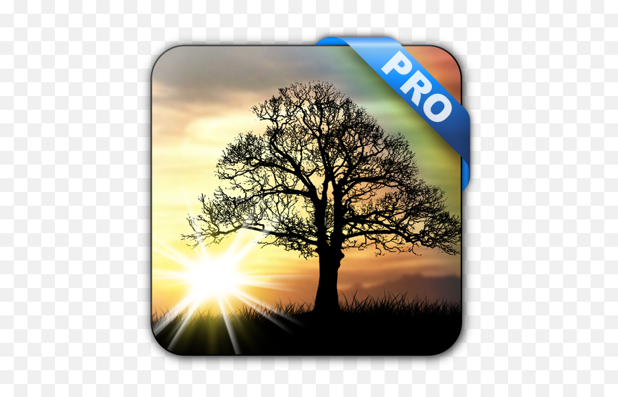 Updated Sun Rise Pro Live Wallpaper Android App Download Emoji,Windmill Emoji Android