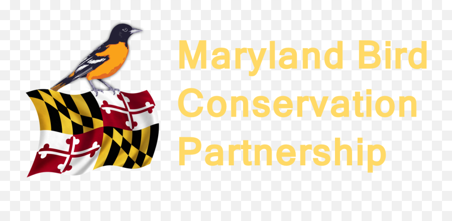 Maryland Bird Conservation Partnership Emoji,Smiley Face Emoticon Flipping Birds