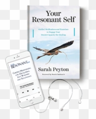 Pankseppu0027s Circuits Of Emotion And Motivation And Why It Emoji,Emotion Circuits