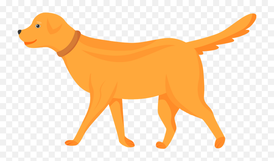 Best Premium Tabby Cat Illustration Download In Png U0026 Vector Emoji,Raised Eyebrow Emoji Dog