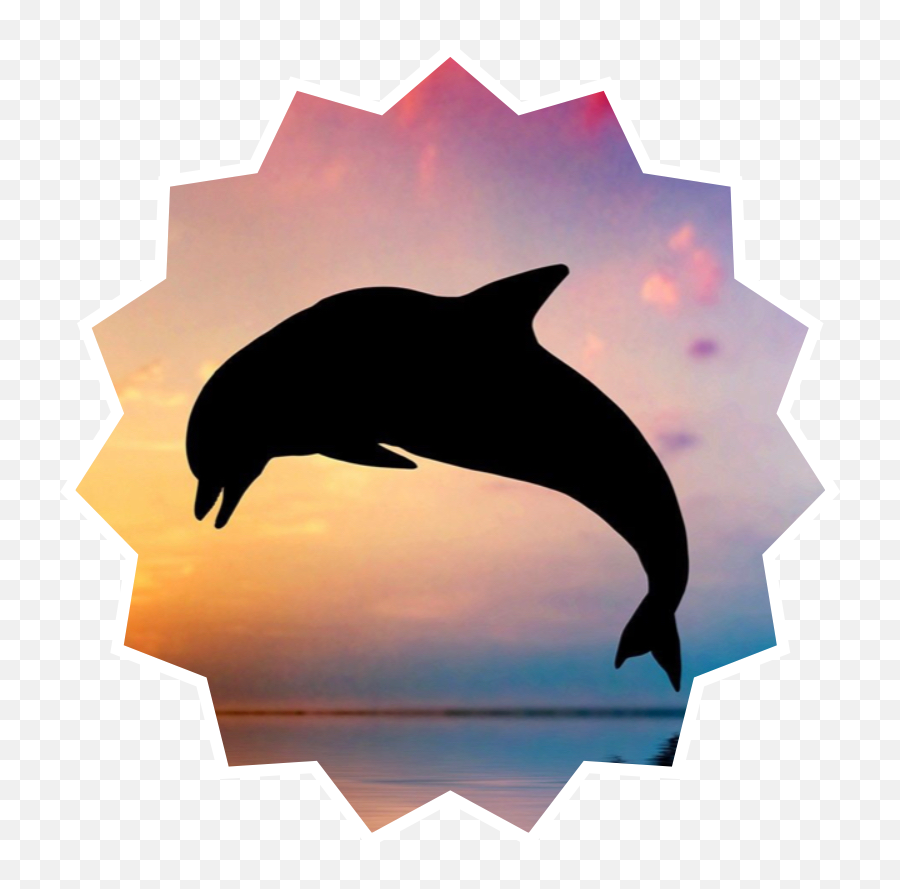 The Most Edited - Delfin Fondo De Pantalla Emoji,Dolphin Emoji Pillow