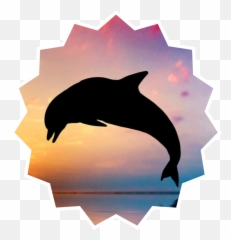 The Most Edited - Delfin Fondo De Pantalla Emoji,Dolphin Emoji Pillow