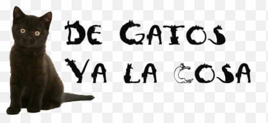 Zapatillas De Gato Para Molar Hasta En Tu Casarisas Emoji,Como Hacer Cojines De Emojis