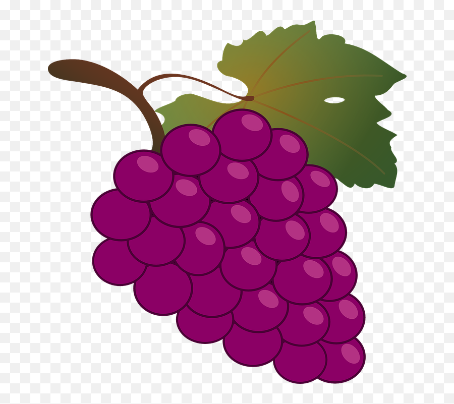 Kids Colors - Clipart Transparent Grape Emoji,Facebook Emojis Grapes