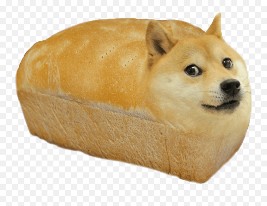 Doge Bread Transparent Png Emoji,Shiba Inu Emoji