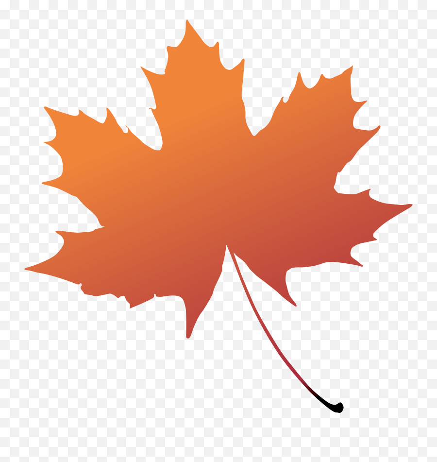 Maple Leaf Boxelder Maple Tree Plant - Transparent Background Maple Leaf Png Transparent Emoji,Leaf Emoji Transparent