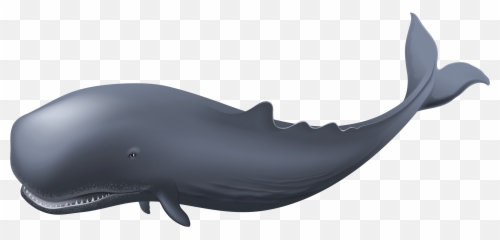 Whale Png Transparent - Png Image Of Whale Emoji,Raindrop Sperm Emoji