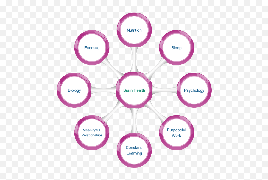 Contentment - The American Institute Of Stress Dot Emoji,Emotions In Our Brain