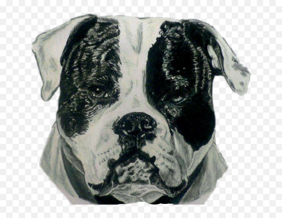 The Most Edited - Olde English Bulldogge Emoji,Emoji Sports Teans