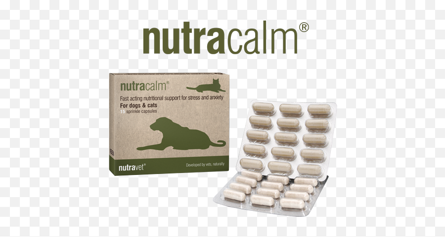 L - Nutracalm For Dogs Emoji,Cats Vs Dogs Emotion