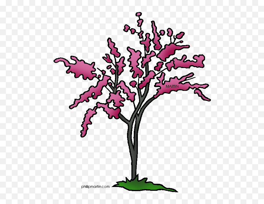 Oklahoma State Shape - Clip Art Library Oklahoma Tree Draw Redbud Emoji,Oklahoma State Cowboys Emoticon