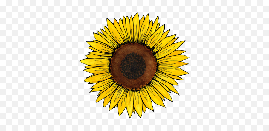 Sunflowers - Sunflower Sticker Emoji,Facebook Sunflower Emoticons