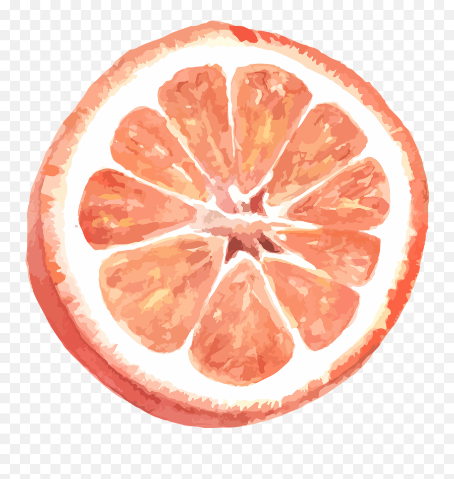 Grapefruit Citrus Watercolor Sticker - Grapefruit Vector Png Emoji,Grapefruit Emoji