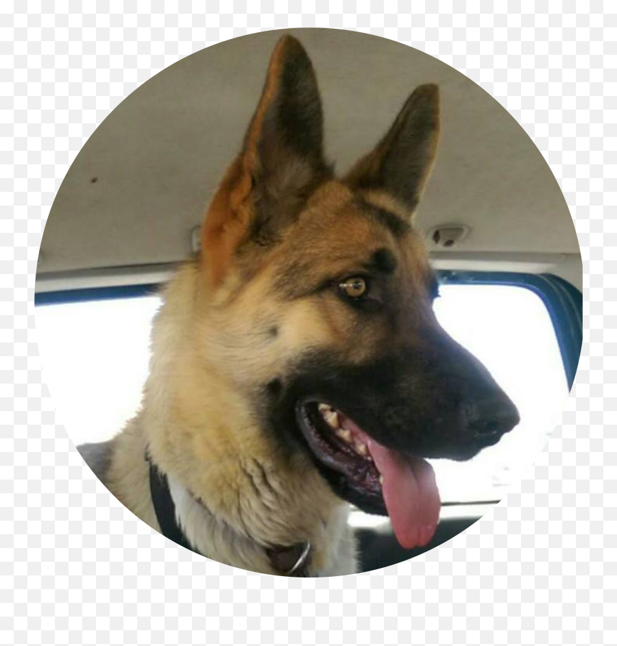 Happy Tails Archives - Collar Emoji,German Shepherd Dog Barking Emoticon