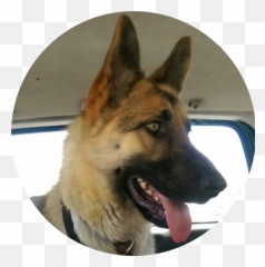 Happy Tails Archives - Collar Emoji,German Shepherd Dog Barking Emoticon
