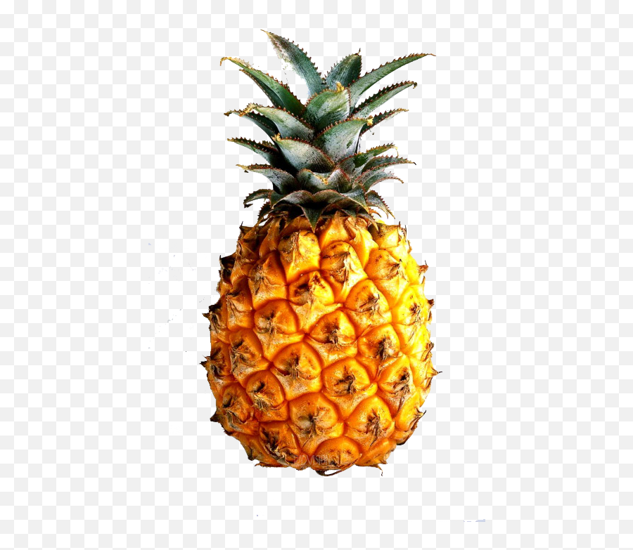 Tumblr Discovered - Low Res Pineapple Emoji,Ocean Of Emotion