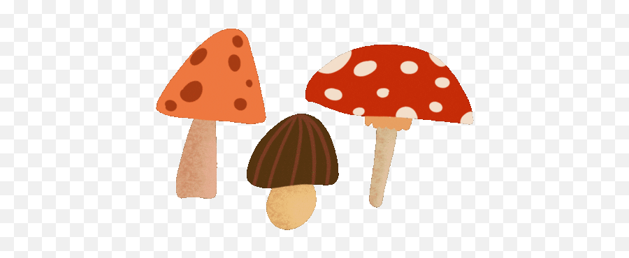 Have Got She He Likes She He Doesnt Like Baamboozle Emoji,Mushroom Funny Emoji