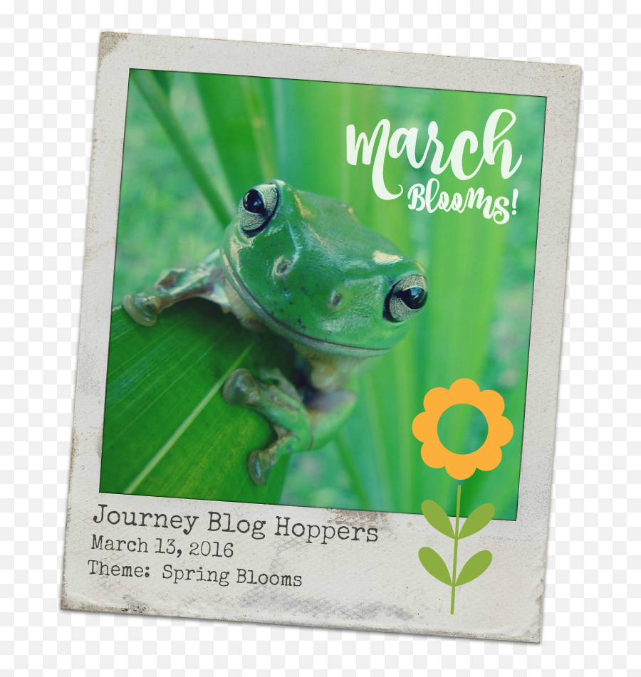 Paper Crafter Anonymous March 2016 - Pond Frogs Emoji,Emoji Stamp Kit