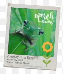 Paper Crafter Anonymous March 2016 - Pond Frogs Emoji,Emoji Stamp Kit