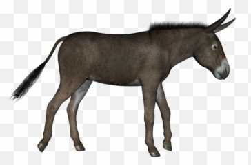 720x720 - Donkey Alpha Emoji,Donkey Emoji Download