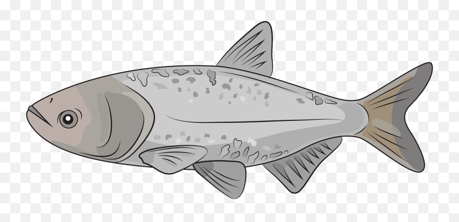 Bighead Carp Clipart - Salmonids Emoji,Man Fishing Emoji