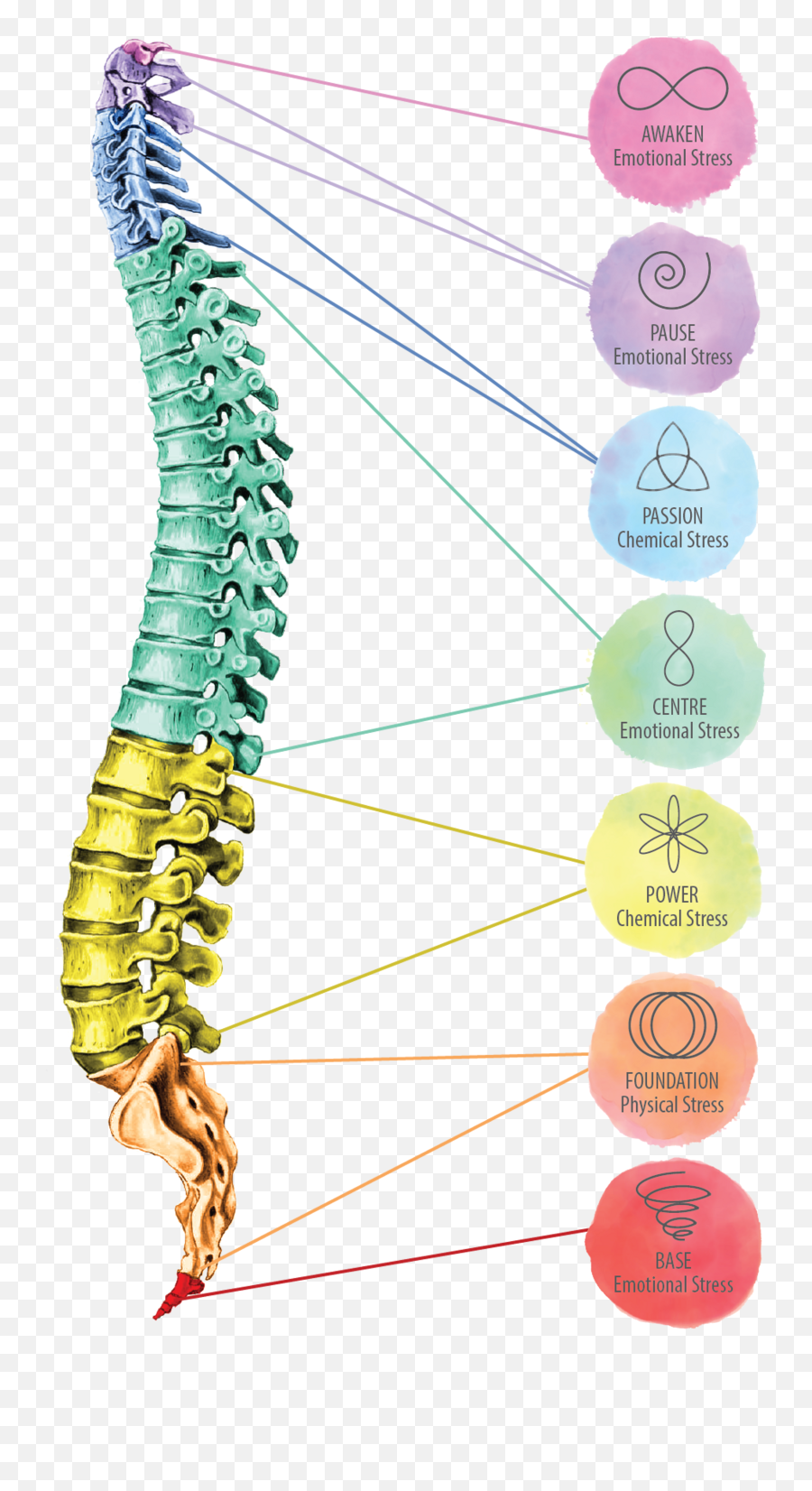 Spinal Flow Technique - Spinal Flow Emoji,Flow Of Emotions