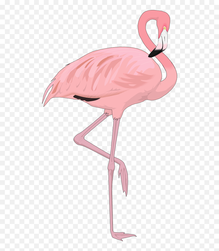 Flamingo Clipart Water Clipart - Transparent Background Flamingo Clipart Png Emoji,Flamingo Emoji