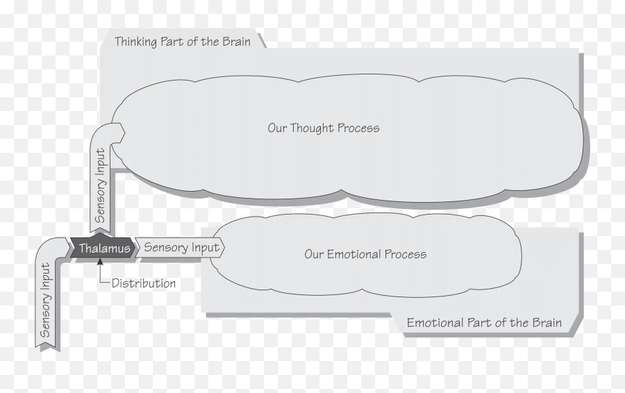 The Thalamus - Horizontal Emoji,Emotions Brain