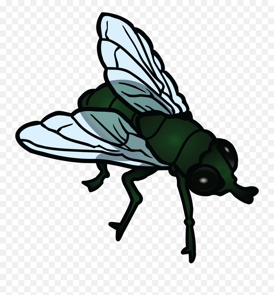 Fly Clipart - Fly Clip Art Emoji,Housefly Emoticon