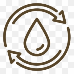 Mushroom Blend Tincture U2013 Ceremony Mushroom Usa - Recirculacion Icono Emoji,Drapeau Breton Emojis