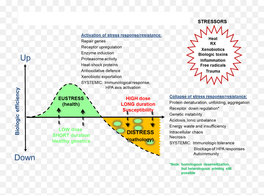 Obm Integrative And Complementary Medicine The Science Of Emoji,Which Piece Of Evidence Is Correctly Matched With Its Relevance To A Particular Theory Of Emotion?