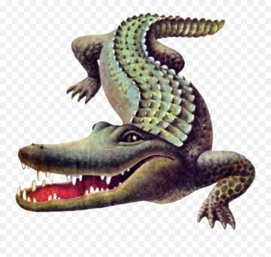 The Most Edited Crocodil Picsart Emoji,Apple Emoji Aligator