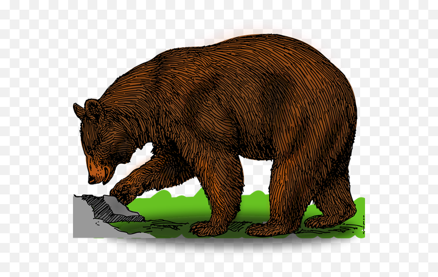 Bear Free To Use Cliparts 2 - Clipartix Bear Free Clipart Emoji,Bear And Hot Emoji