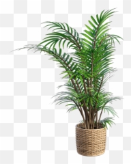 The Coolest Plants Stickers On Picsart Emoji,Maceta Emoji