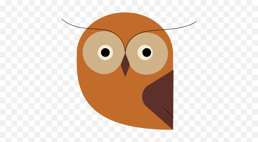 Nocturnal Animal T Shirt Designs Graphics U0026 More Merch Emoji,Ovo Owl Emoji