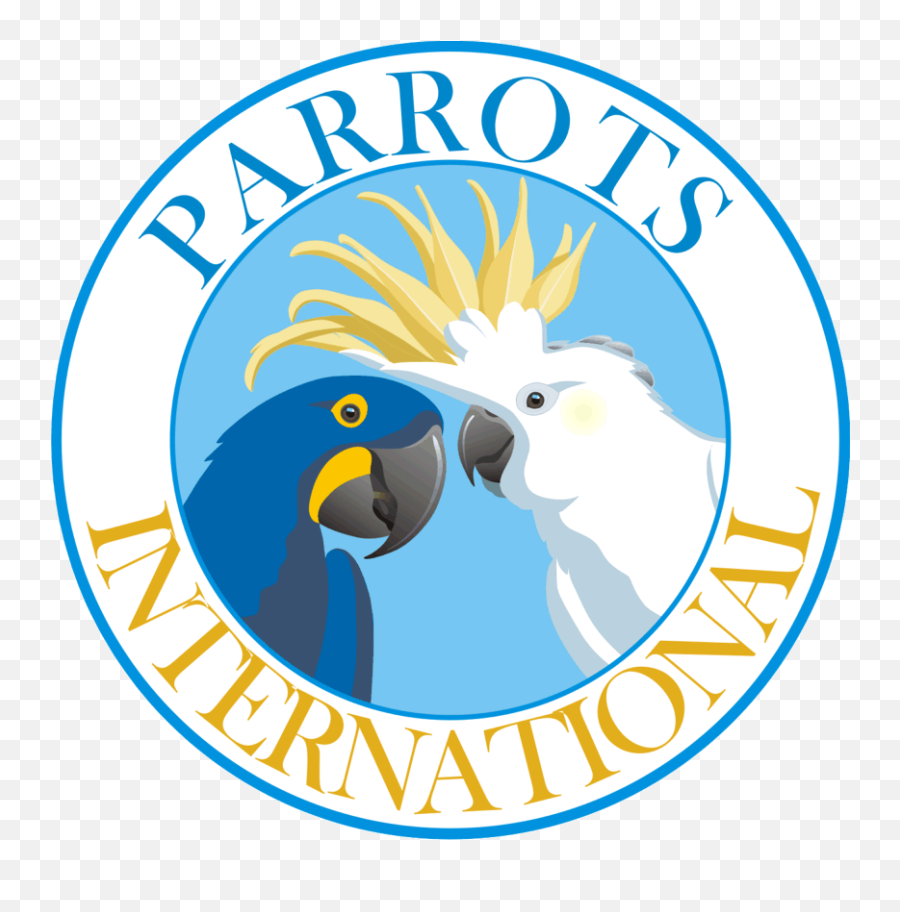 Supported Foundations Hari Blue Macaw Life Cycle Only - Lowgif Parrots International Emoji,Parrot Emoticon
