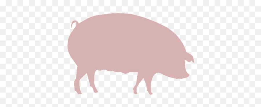 90 Free Pink Pig U0026 Pig Illustrations - Pixabay Hog Raffle Emoji,Pig Emoji Shirt