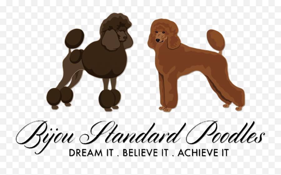 Red And Brown Standard Poodles - Poodle Emoji,There Is No Emotion No Matter Strong That Does Not Fade