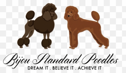 Red And Brown Standard Poodles - Poodle Emoji,There Is No Emotion No Matter Strong That Does Not Fade