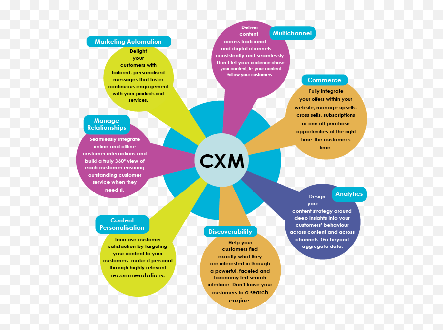 Customer Experience Management Cem Or Cxm - Marketing Team Customer Experience Structure Emoji,Big Bang Theory The Emotion Detection Automation