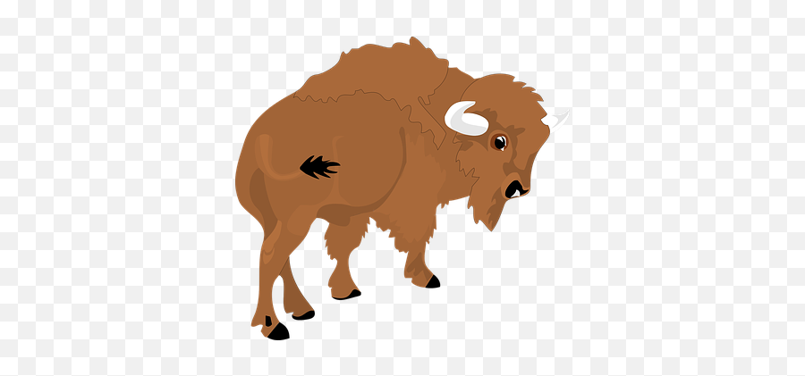 Free Bison Buffalo Vectors - Clip Art Bison Emoji,Bison Emoji
