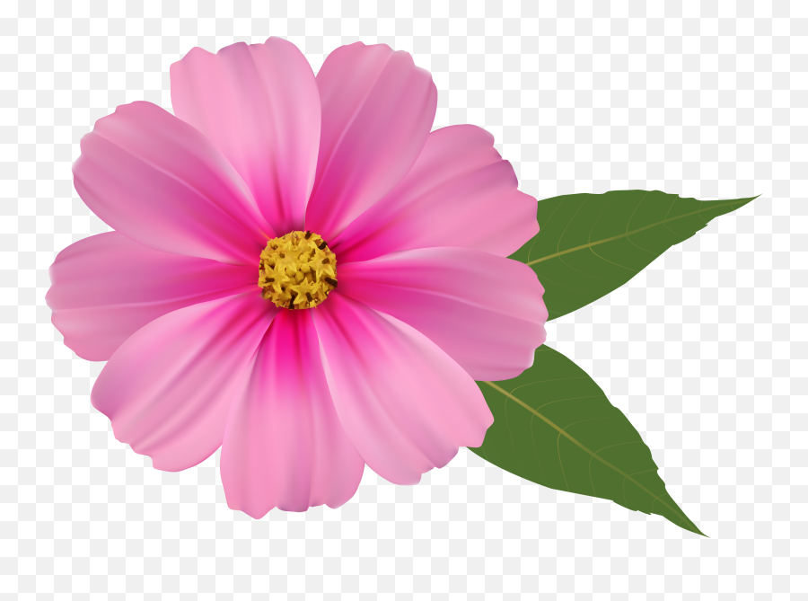 Pink Flower Emoji Png - Flowers Image Png Hd,Pink Flower Emoji
