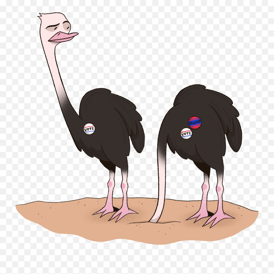 Ocsa Evolution - Common Ostrich Emoji,Emotions Of A Bird Meme