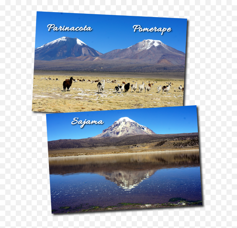 Parinacota Volcano In Bolivia - Summit Emoji,Volcan Emotions