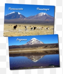 Parinacota Volcano In Bolivia - Summit Emoji,Volcan Emotions